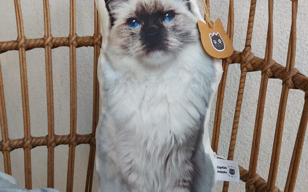 Cojines personalizados: Mi producto estrella