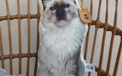 Capitan Pelocho Bolsos y Complementos hechos a mano - Capitán Pelocho Cojines personalizados: Mi producto estrella